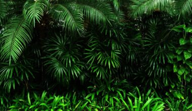 A Guide to Growing Tropical Plants and Care