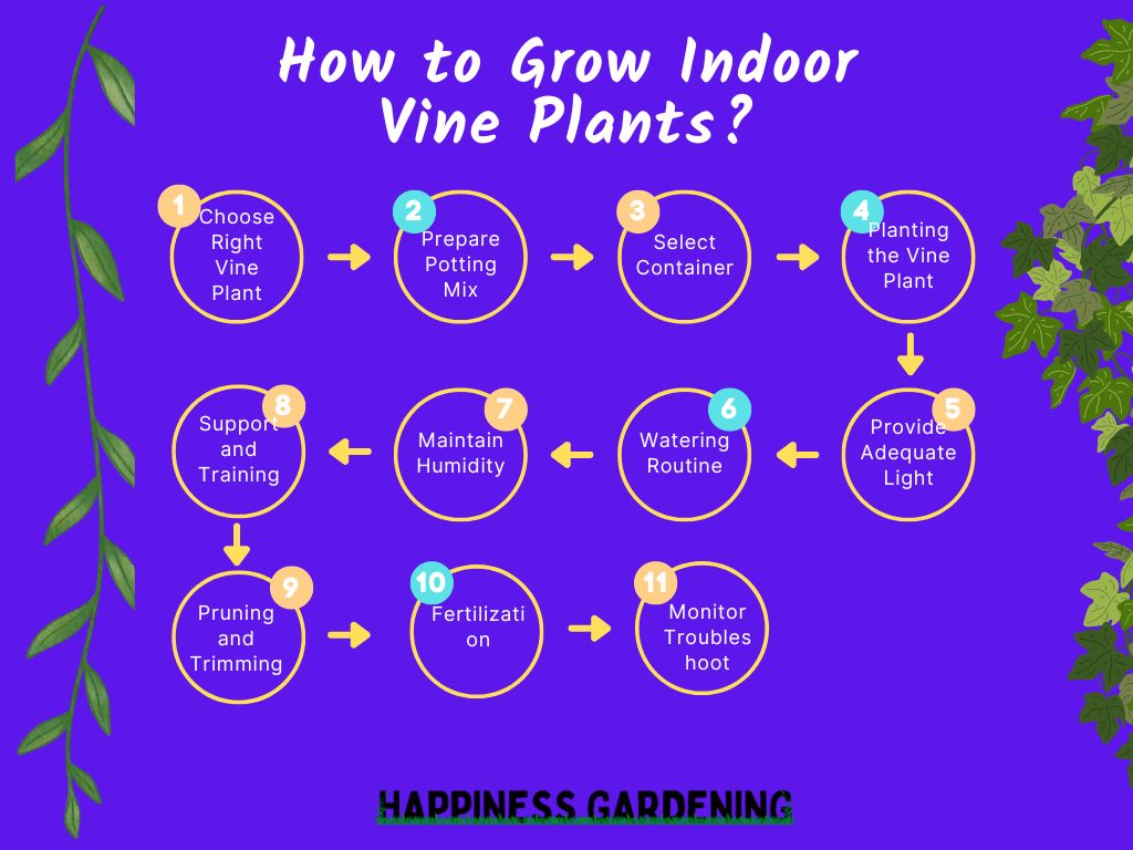 How to Grow Indoor Vine Plants